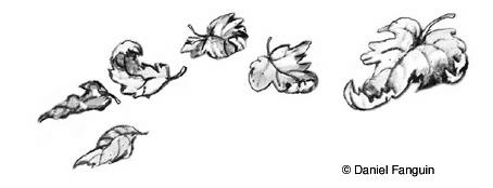 Daniel Fanguin : poème : L'averse