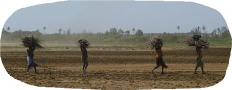 À chacun son cinéma